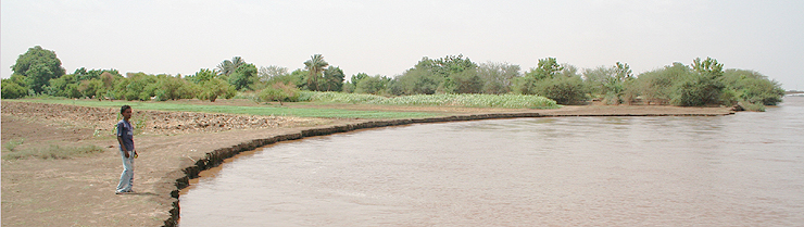 Nile Erosion at Omdurman, Sudan